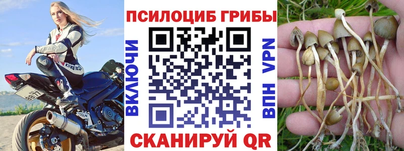 Галлюциногенные грибы ЛСД  Владивосток 